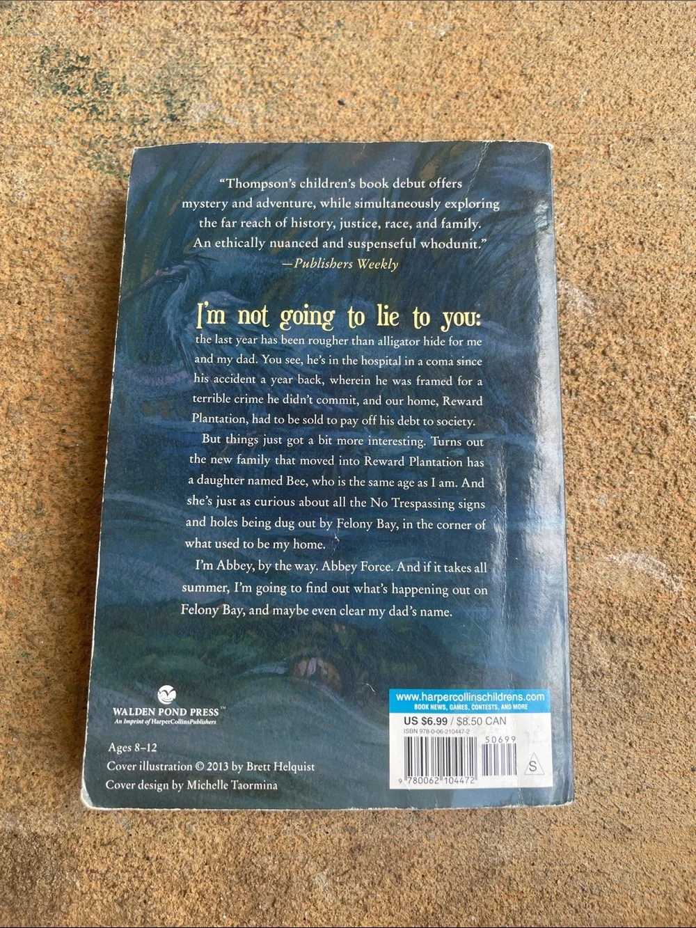 Children's Mystery Paperback - Dark Teal/Blue Back Cover
